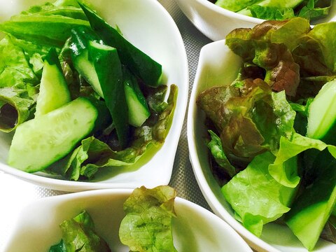 緑いっぱい！きゅうりとサニーレタスのグリーンサラダ